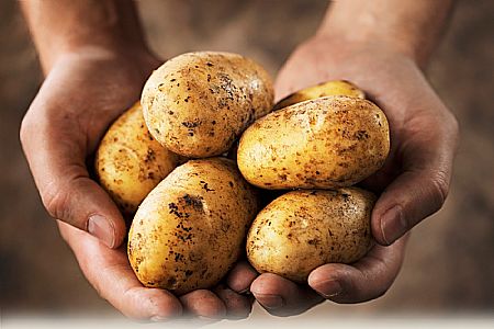 Zakaj krompirjev sok dela čudeže?